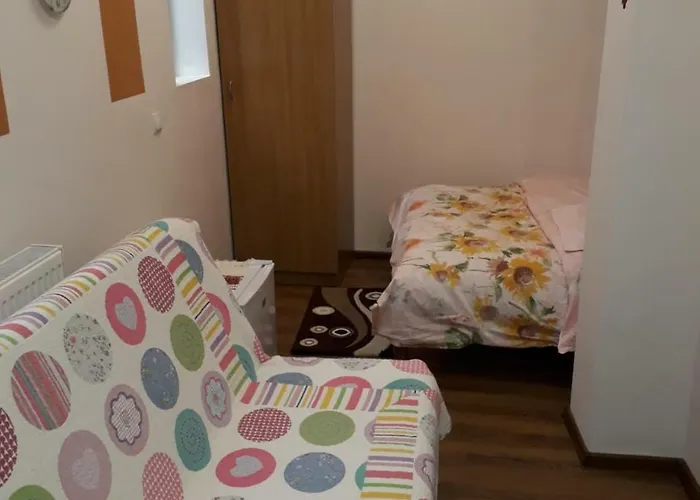 Pensionat Motor House Unirii