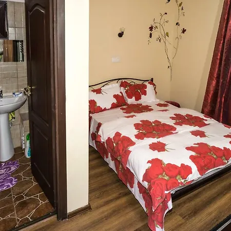 Pensjonat Motor House Unirii